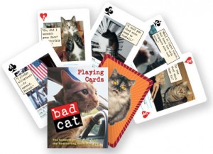 BadCatFanBox